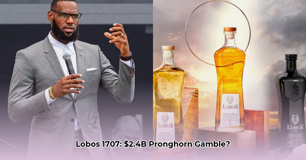 lobos-1707-net-worth